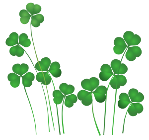 st patricks day shamrocks 